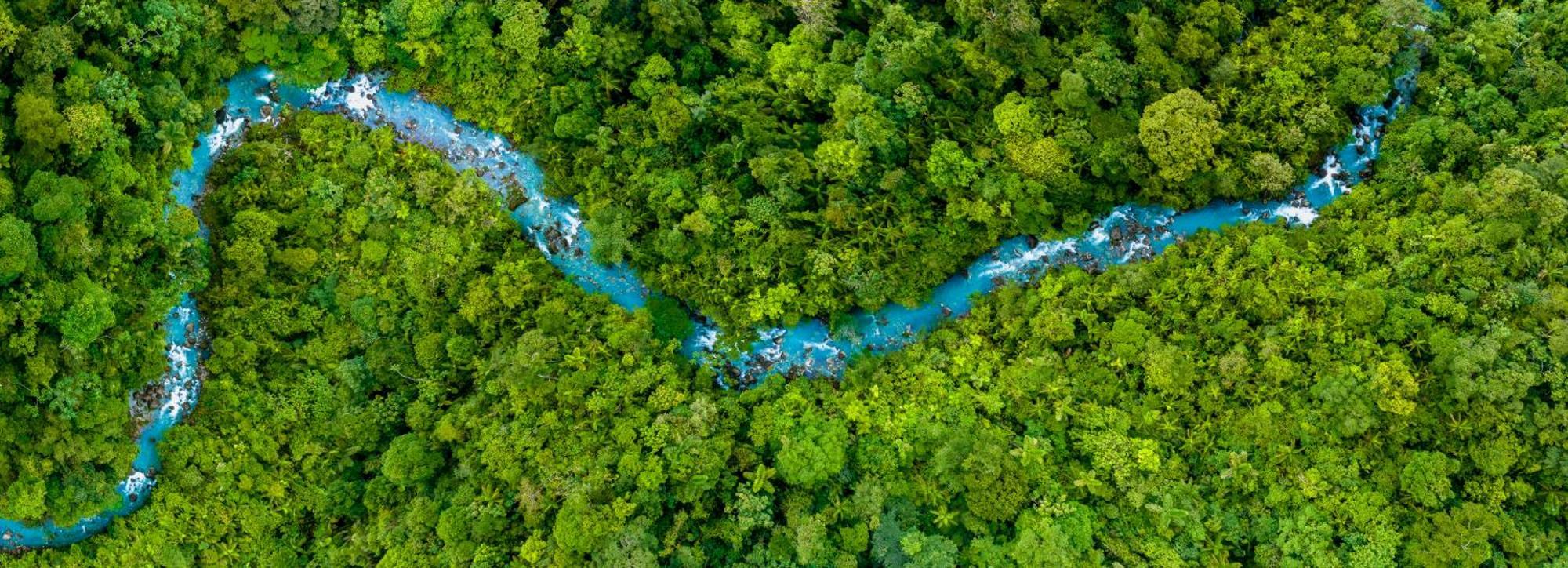 Hideaway Rio Celeste Hotel Bijagua Exteriér fotografie