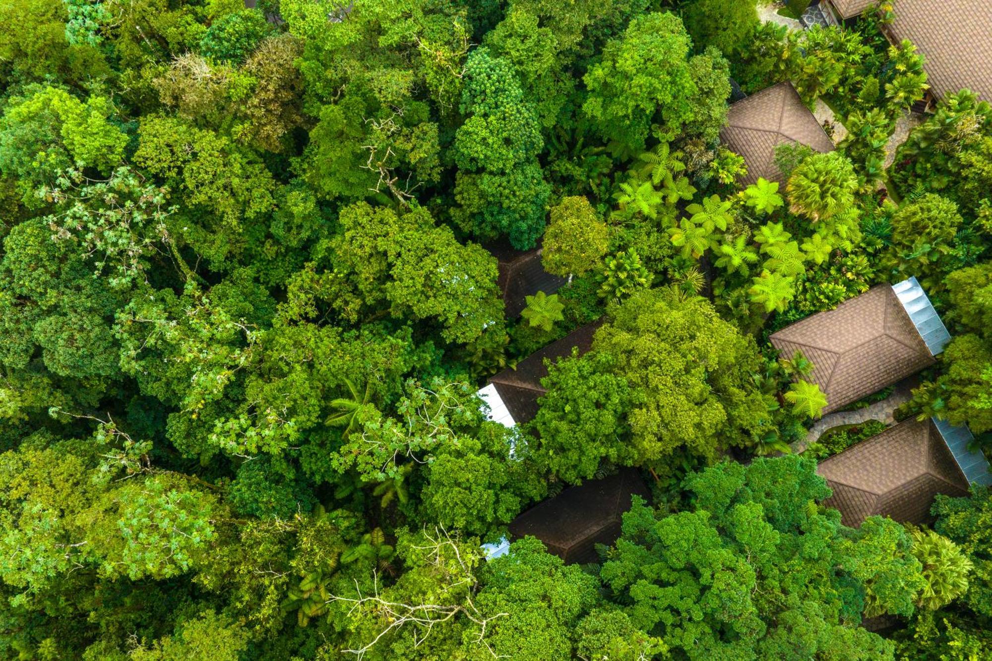 Hideaway Rio Celeste Hotel Bijagua Exteriér fotografie